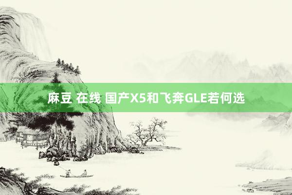 麻豆 在线 国产X5和飞奔GLE若何选