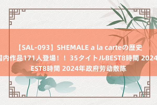 【SAL-093】SHEMALE a la carteの歴史 2008～2011 国内作品171人登場！！35タイトルBEST8時間 2024年政府劳动敷陈