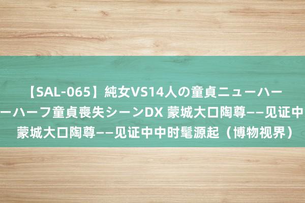 【SAL-065】純女VS14人の童貞ニューハーフ 二度と見れないニューハーフ童貞喪失シーンDX 蒙城大口陶尊——见证中中时髦源起（博物视界）