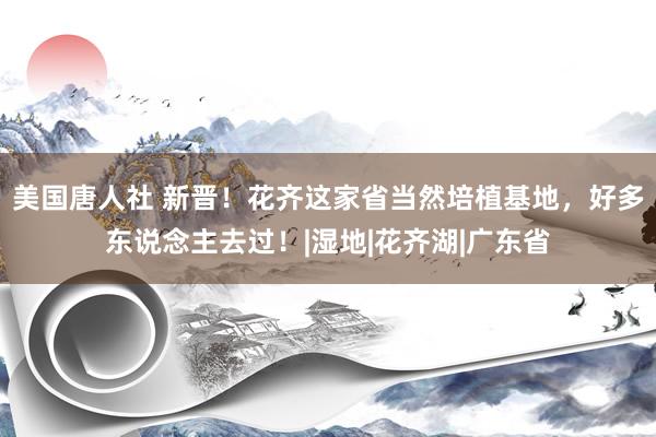 美国唐人社 新晋！花齐这家省当然培植基地，好多东说念主去过！|湿地|花齐湖|广东省