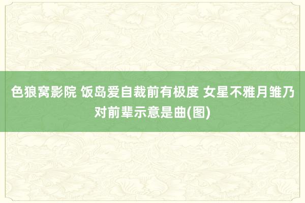 色狼窝影院 饭岛爱自裁前有极度 女星不雅月雏乃对前辈示意是曲(图)