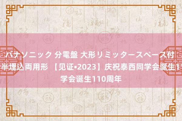 パナソニック 分電盤 大形リミッタースペース付 露出・半埋込両用形 【见证•2023】庆祝泰西同学会诞生110周年